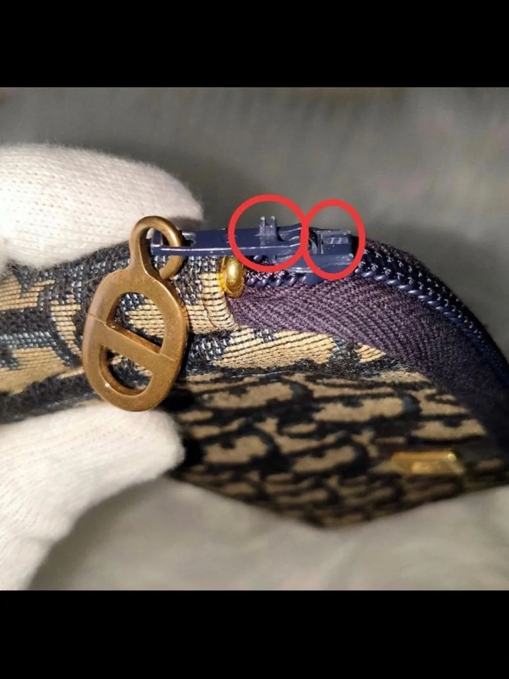 Dior classic monogram